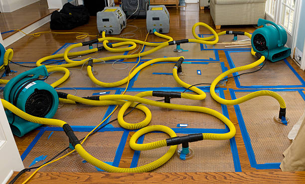Professional Burst Pipe Water Damage technician working in Ypsilanti, ND