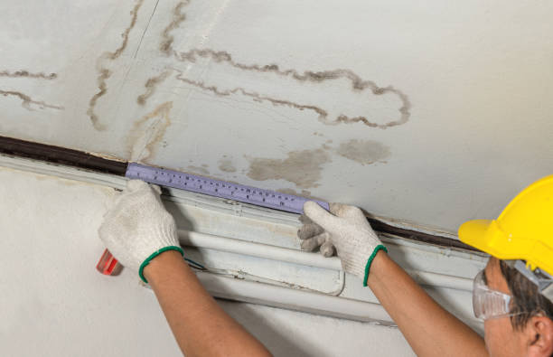 Affordable Water Damage Repair solutions in Ypsilanti, ND